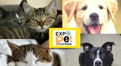 Projeto sem título (20)